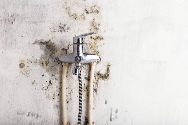 Mold Removal Process in Weyauwega, WI