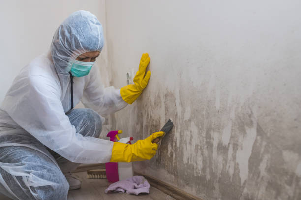 Best Mold Cleaning Services  in Weyauwega, WI